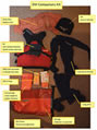 Compulsory kit